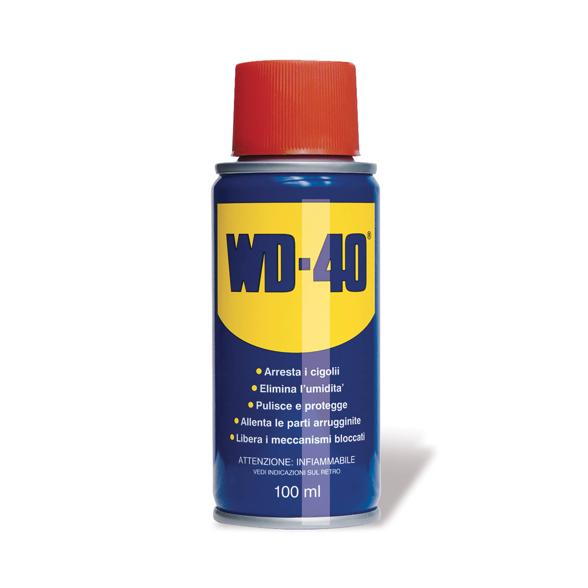 WD-40 - prodotto lubrificante multifunzione 100 ml – DAC Srl