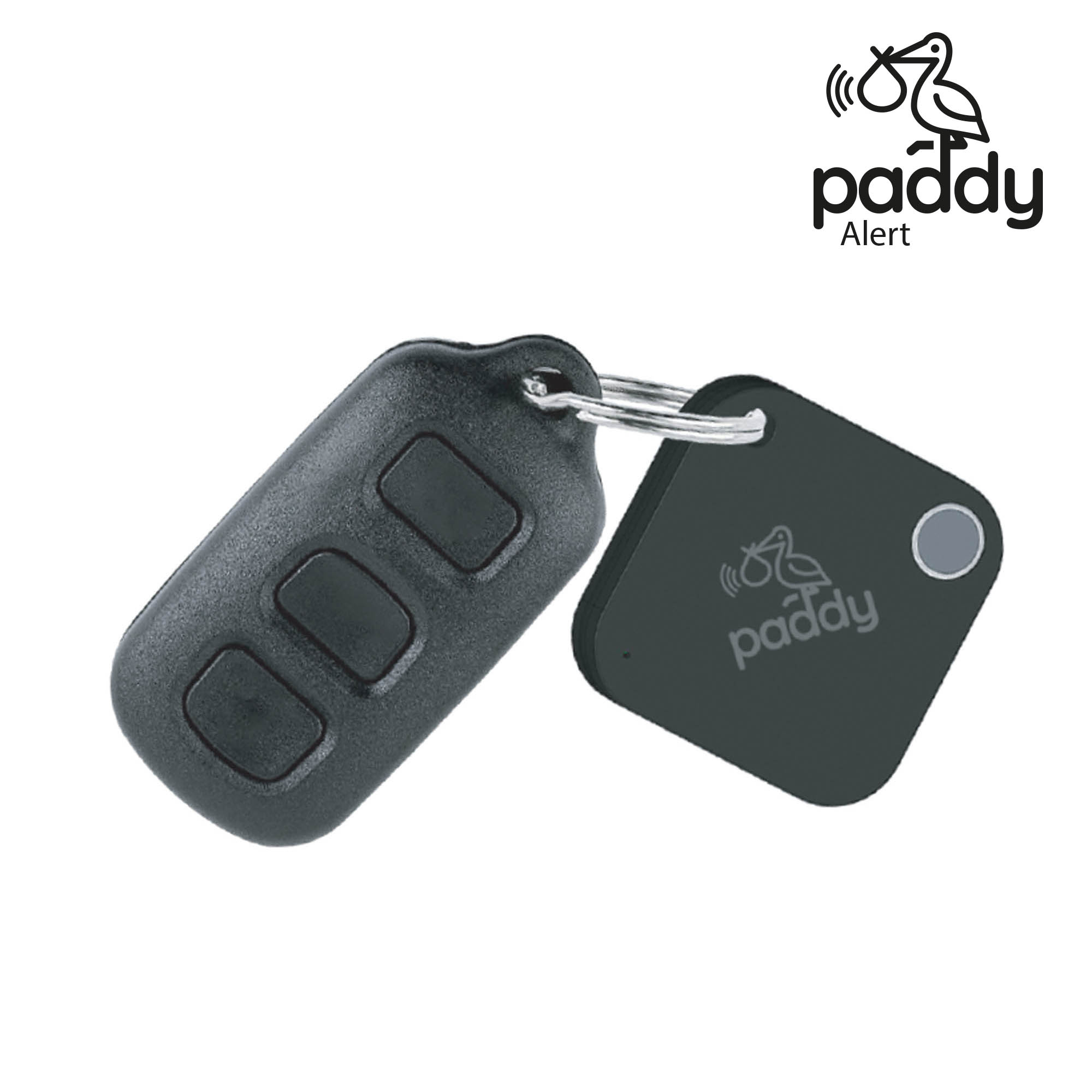 paddy dispositivo anti abbandono ototop dac maranello 5