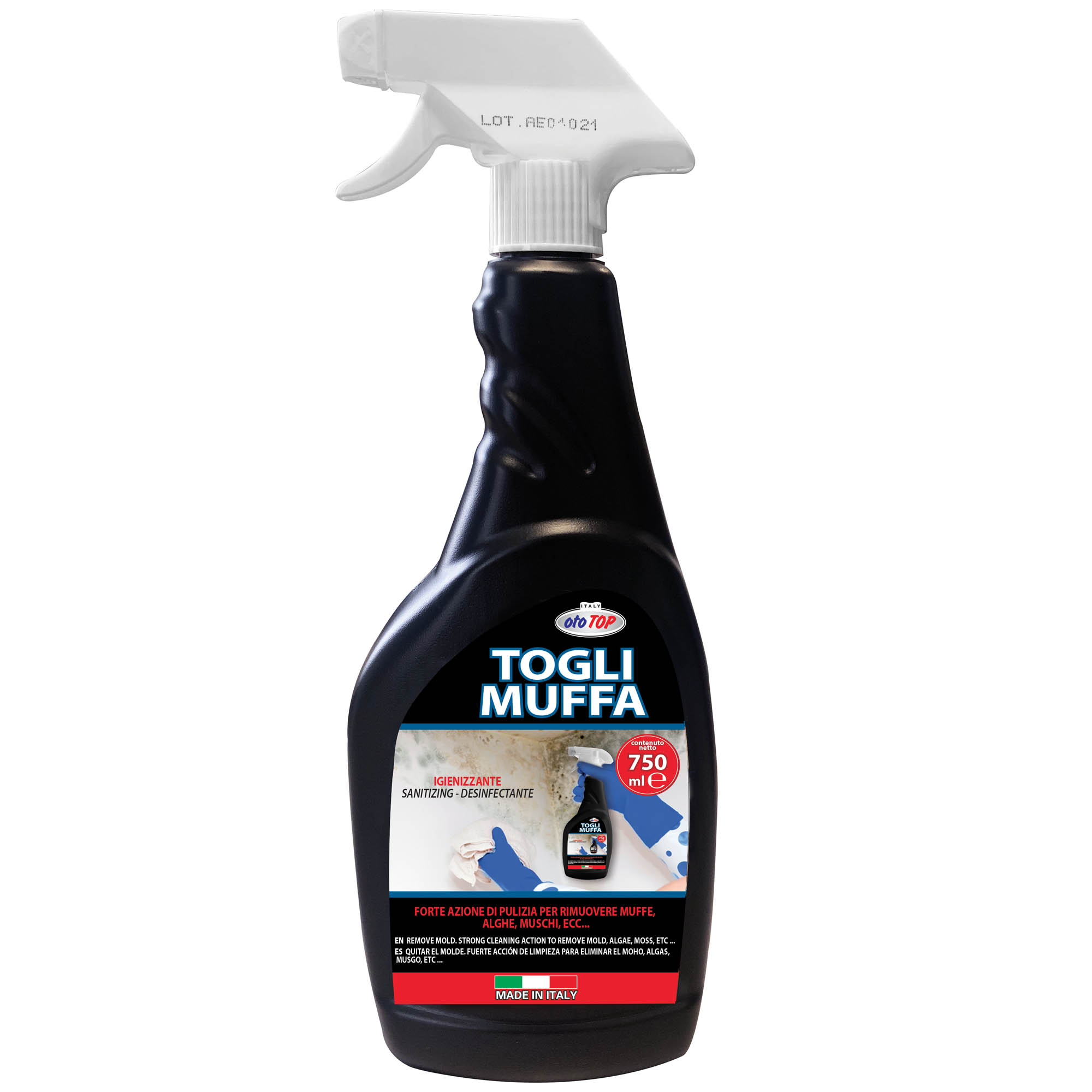 Anti-mold spray 750 ml chloroactive - TOGLI MUFFA – DAC Srl
